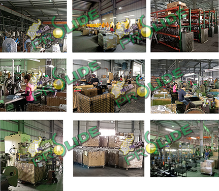 Company Overview